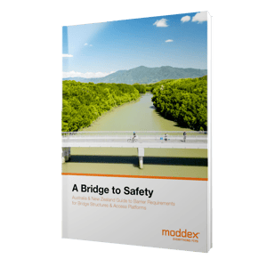Bridge to Safety Guide Thumbnail